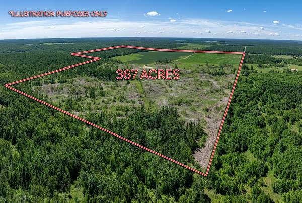 367 Acres of Land for Sale in Johannesburg, Michigan