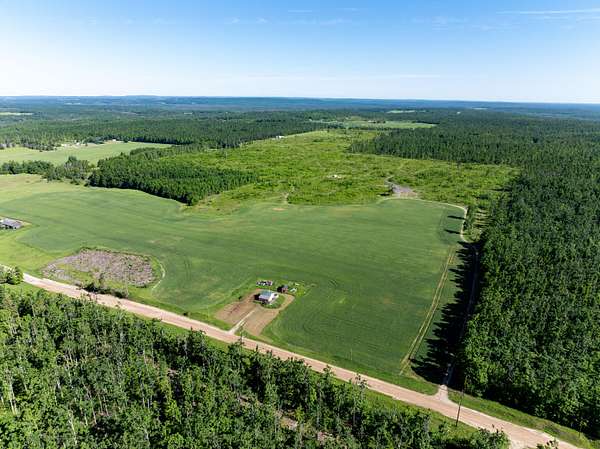 78 Acres of Land for Sale in Johannesburg, Michigan