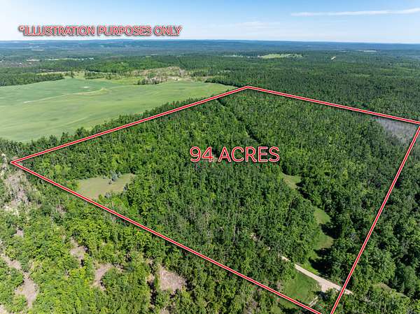 94.2 Acres of Recreational Land for Sale in Johannesburg, Michigan
