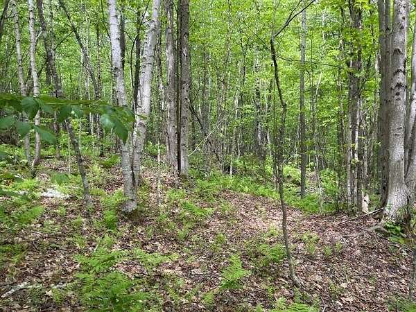 13.3 Acres of Recreational & Residential Land for Sale in Washington, New Hampshire