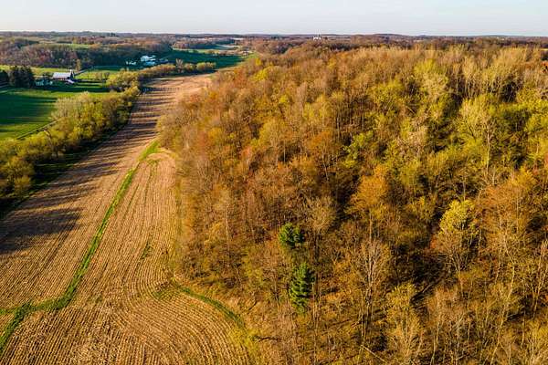 53 Acres of Land for Sale in Loganville, Wisconsin