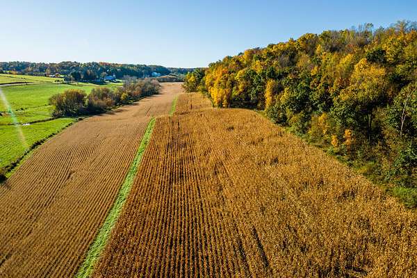 53 Acres of Land for Sale in Loganville, Wisconsin