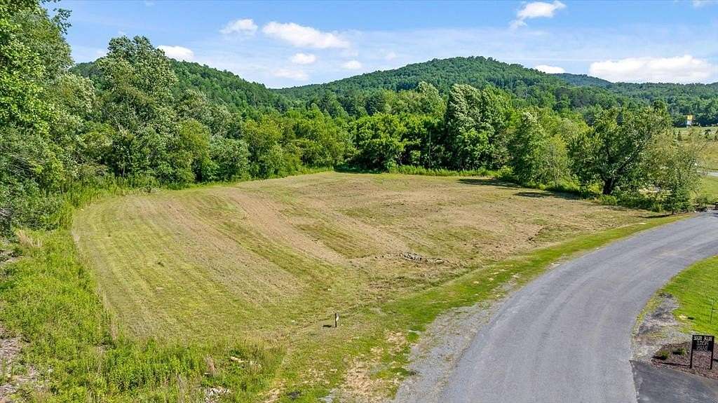 3.3 Acres of Residential Land for Sale in Morganton, Georgia