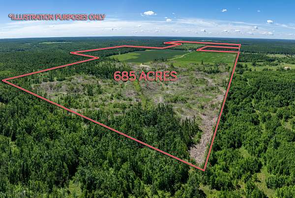 685 Acres of Land for Sale in Johannesburg, Michigan