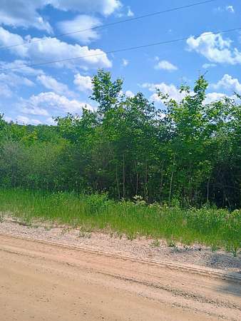 20.2 Acres of Recreational Land for Sale in Kalkaska, Michigan