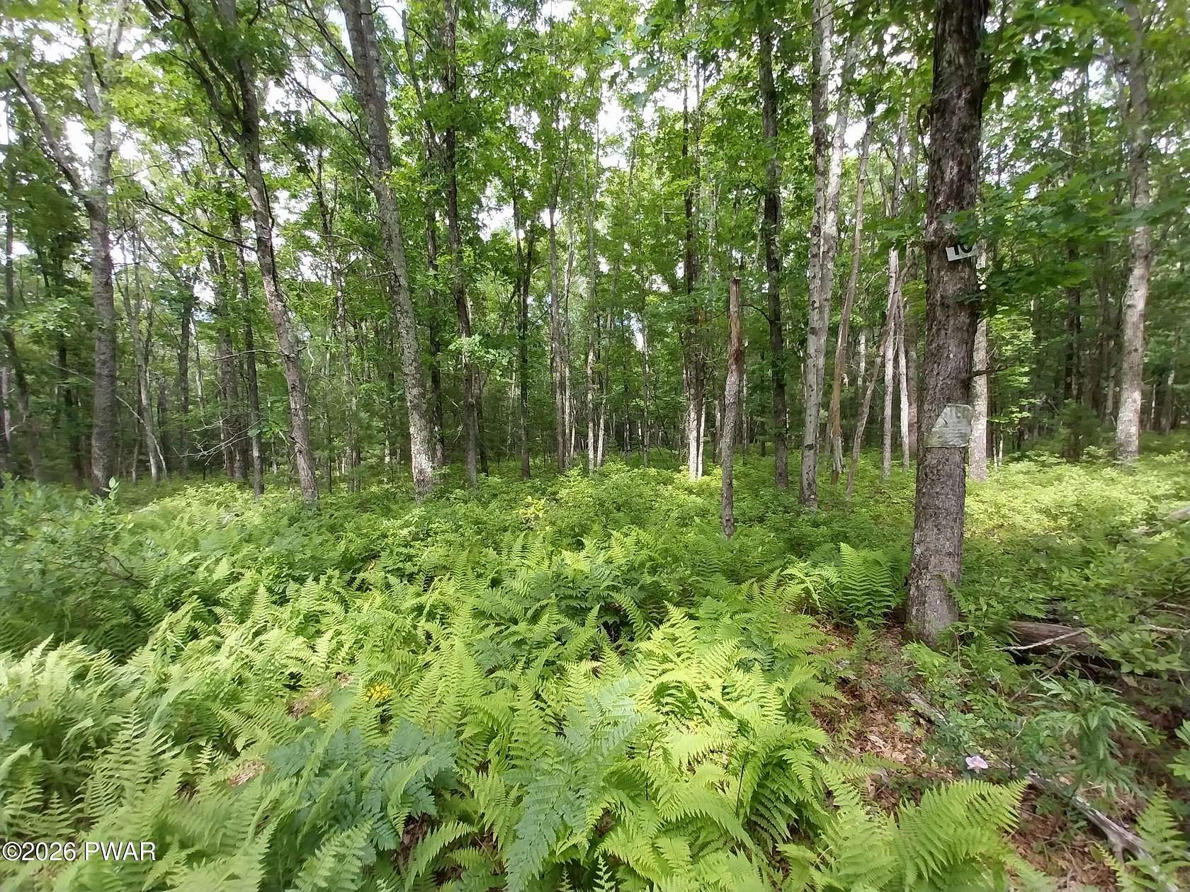 1 Acre of Residential Land for Sale in Greeley, Pennsylvania