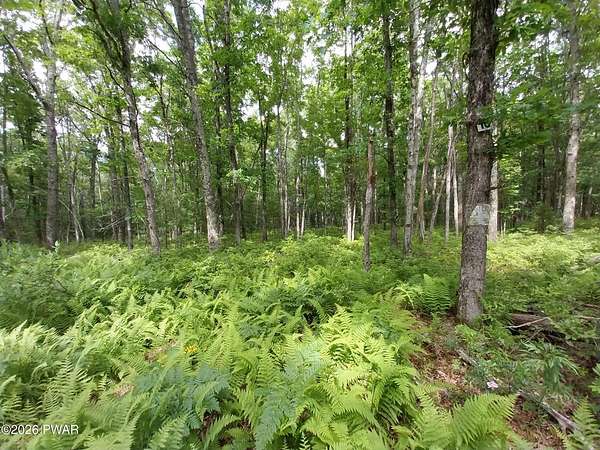 1 Acre of Residential Land for Sale in Greeley, Pennsylvania