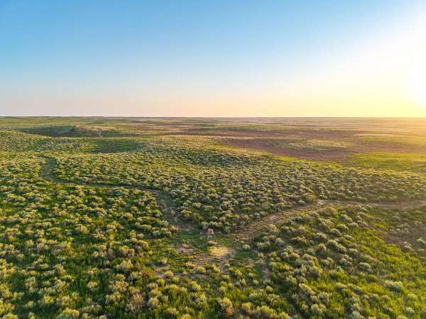 481 Acres of Land for Auction in Lakin, Kansas
