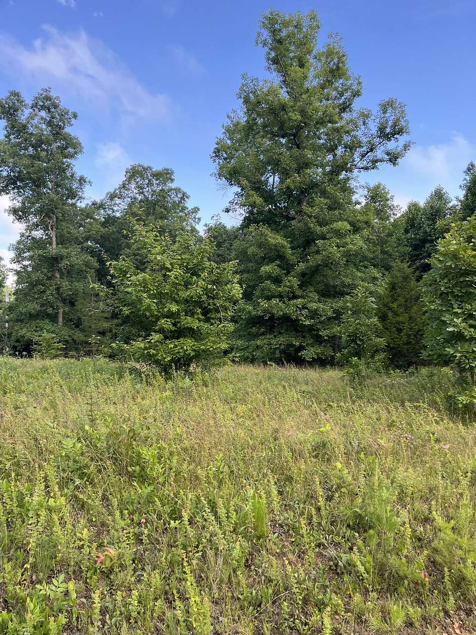 2.76 Acres of Residential Land for Sale in Altamont, Tennessee