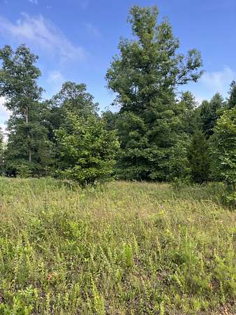 2.76 Acres of Residential Land for Sale in Altamont, Tennessee