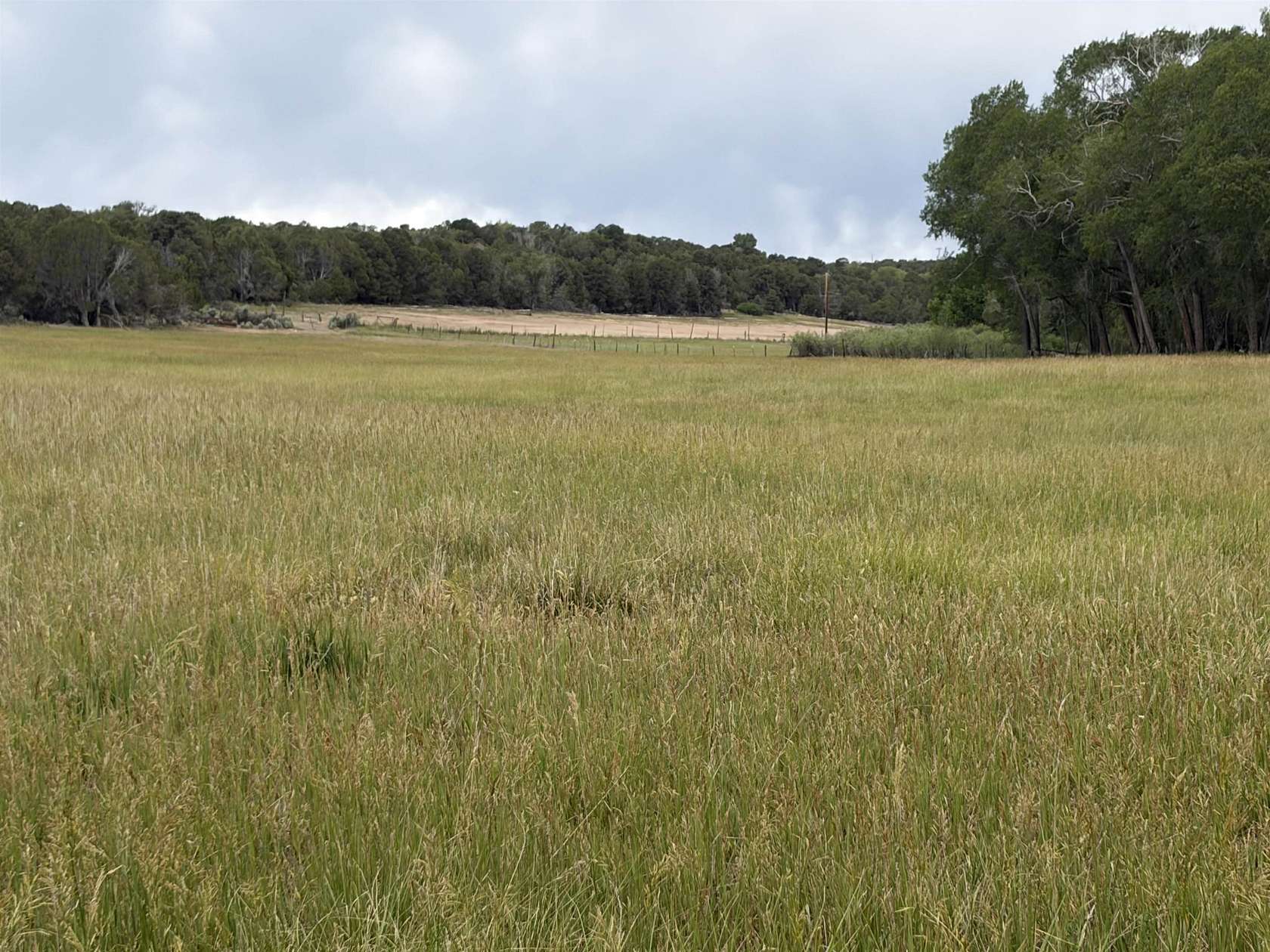21 Acres of Agricultural & Residential Land for Sale in Cedaredge, Colorado