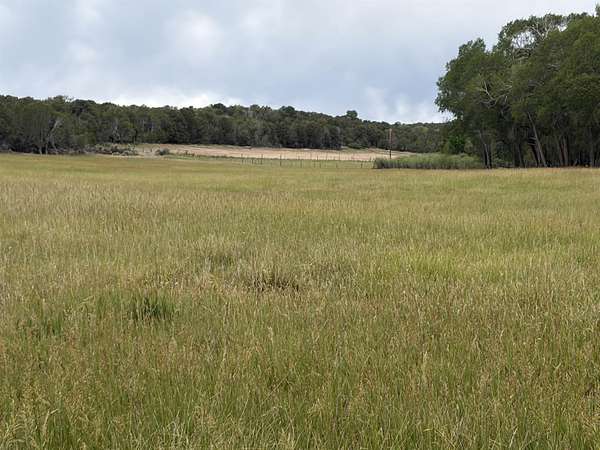 21 Acres of Agricultural & Residential Land for Sale in Cedaredge, Colorado