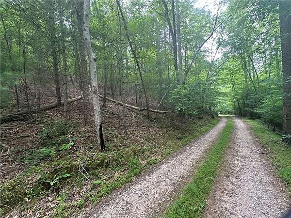 3 Acres of Residential Land for Sale in Dawsonville, Georgia