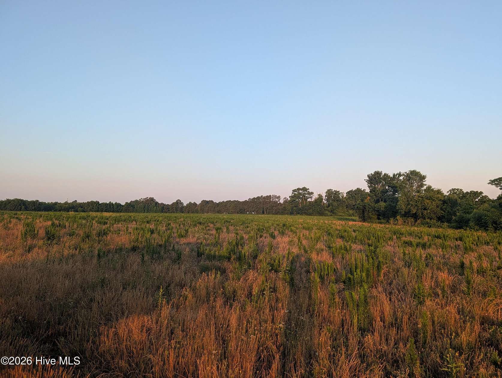 37.3 Acres of Agricultural & Residential Land for Sale in St. Pauls, North Carolina