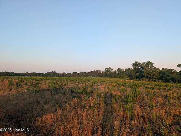 37.3 Acres of Agricultural & Residential Land for Sale in St. Pauls, North Carolina