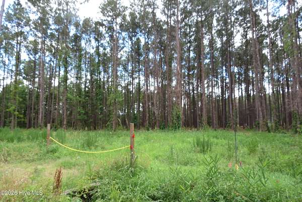 8 Acres of Residential Land for Sale in Oriental, North Carolina