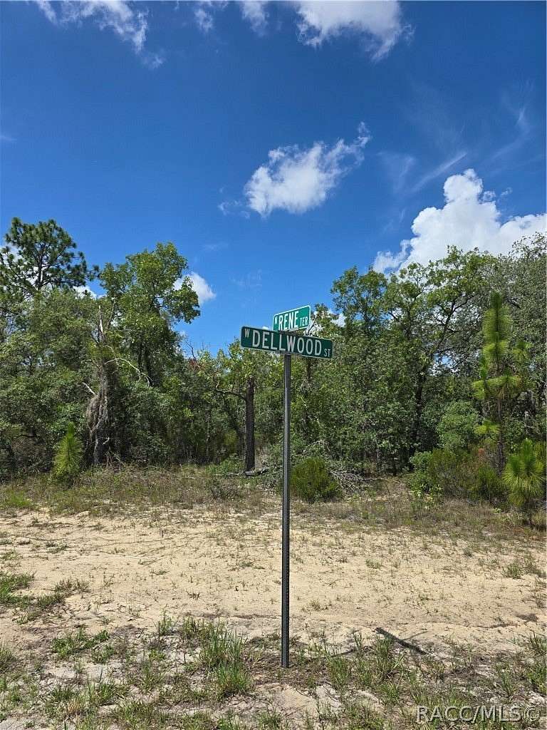 0.33 Acres of Residential Land for Sale in Dunnellon, Florida