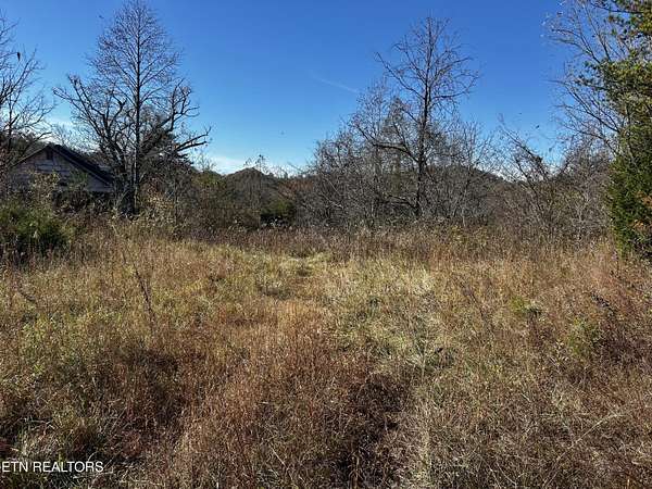 23.6 Acres of Recreational & Residential Land for Sale in Tellico Plains, Tennessee