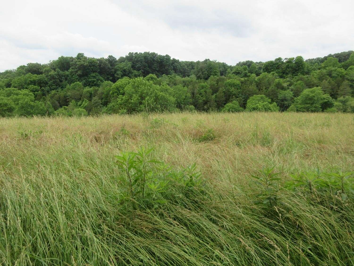 40.7 Acres of Agricultural & Residential Land for Sale in Moores Hill, Indiana
