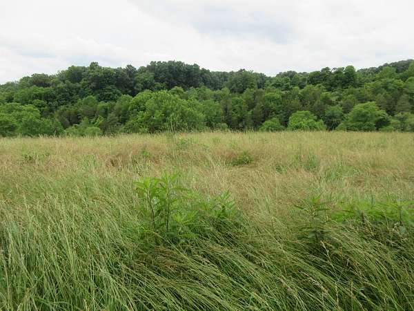 40.7 Acres of Agricultural & Residential Land for Sale in Moores Hill, Indiana