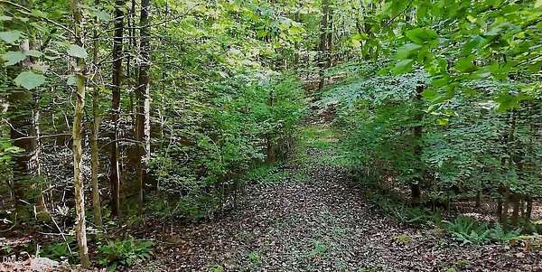 0.72 Acres of Residential Land for Sale in Raleigh, North Carolina