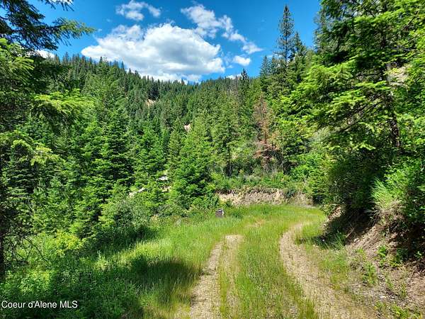 20 Acres of Land for Sale in Coeur d'Alene, Idaho