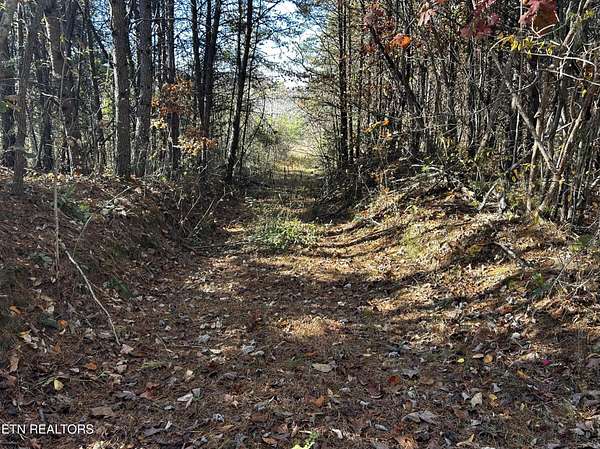 28.3 Acres of Recreational Land for Sale in Tellico Plains, Tennessee