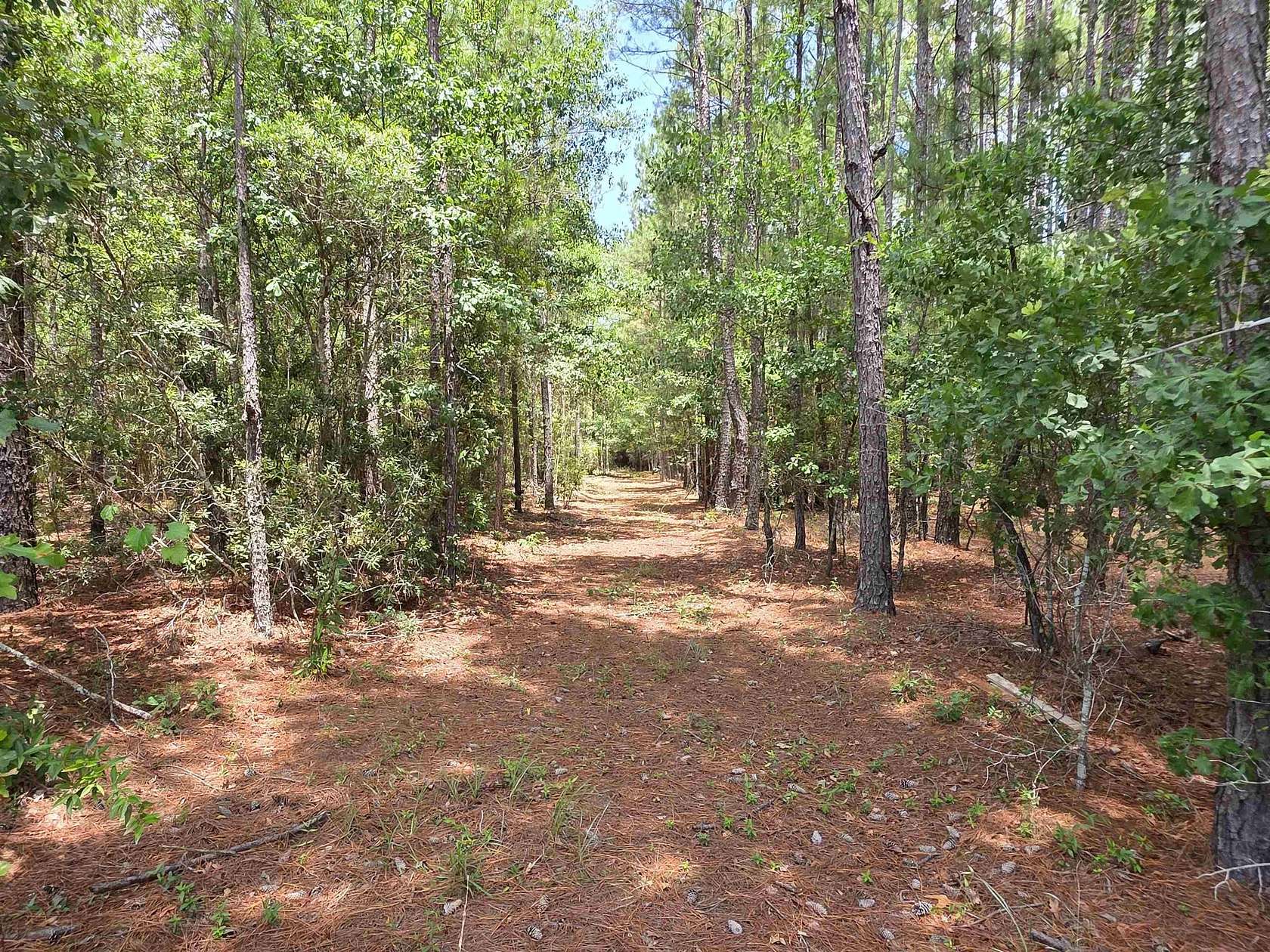 3.14 Acres of Residential Land for Sale in Nichols, South Carolina
