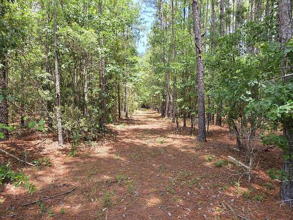 3.14 Acres of Residential Land for Sale in Nichols, South Carolina
