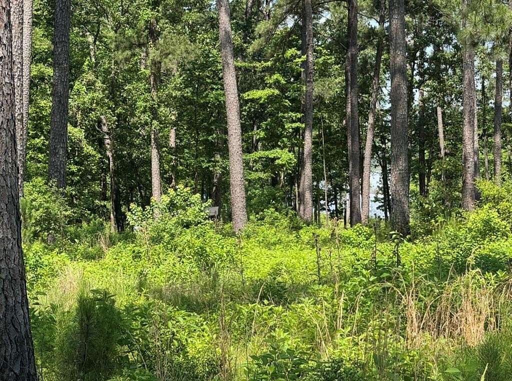 1 Acre of Residential Land for Sale in Brookeland, Texas