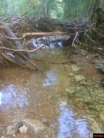 18 Acres of Recreational & Residential Land for Sale in Peel, Arkansas