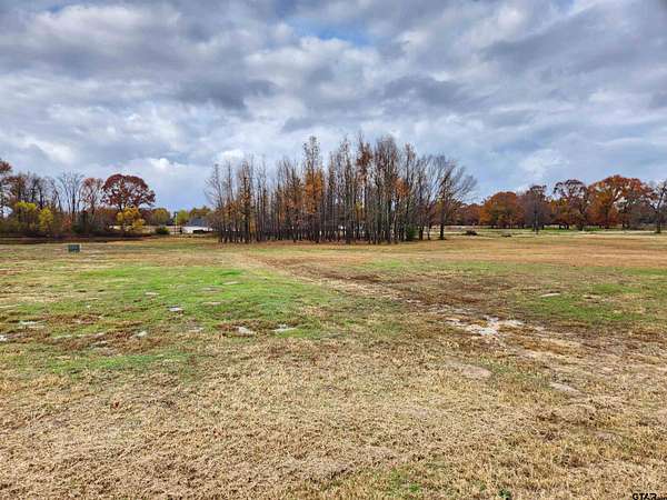 8.6 Acres of Residential Land for Sale in Mineola, Texas