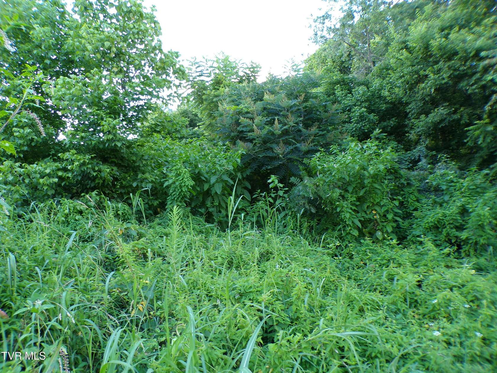 0.16 Acres of Residential Land for Sale in Kingsport, Tennessee