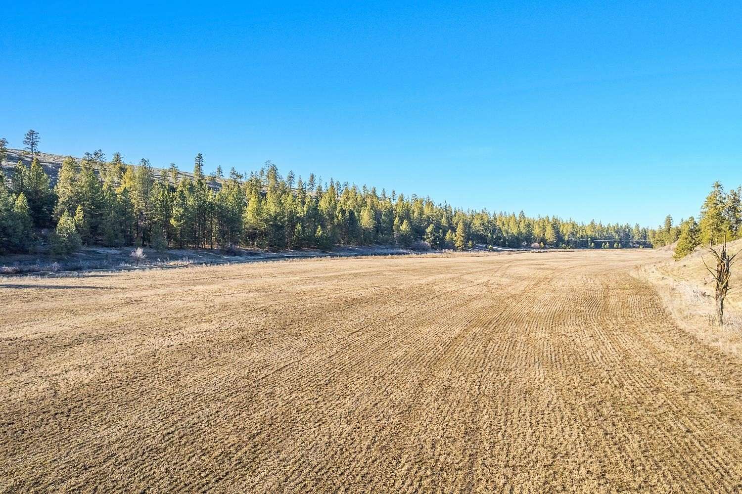 40 Acres of Agricultural & Residential Land for Sale in Fairfield, Washington