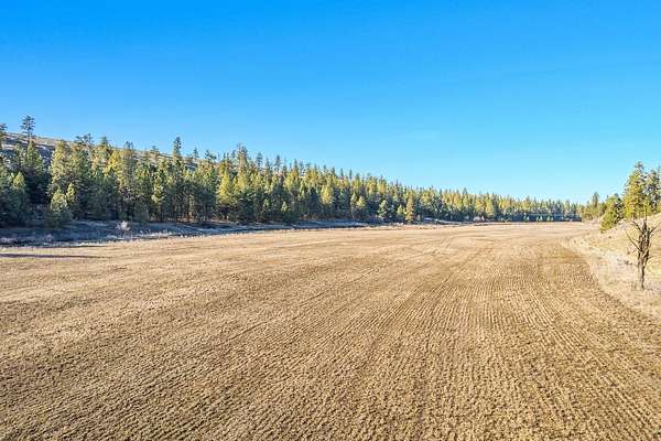 40 Acres of Agricultural & Residential Land for Sale in Fairfield, Washington