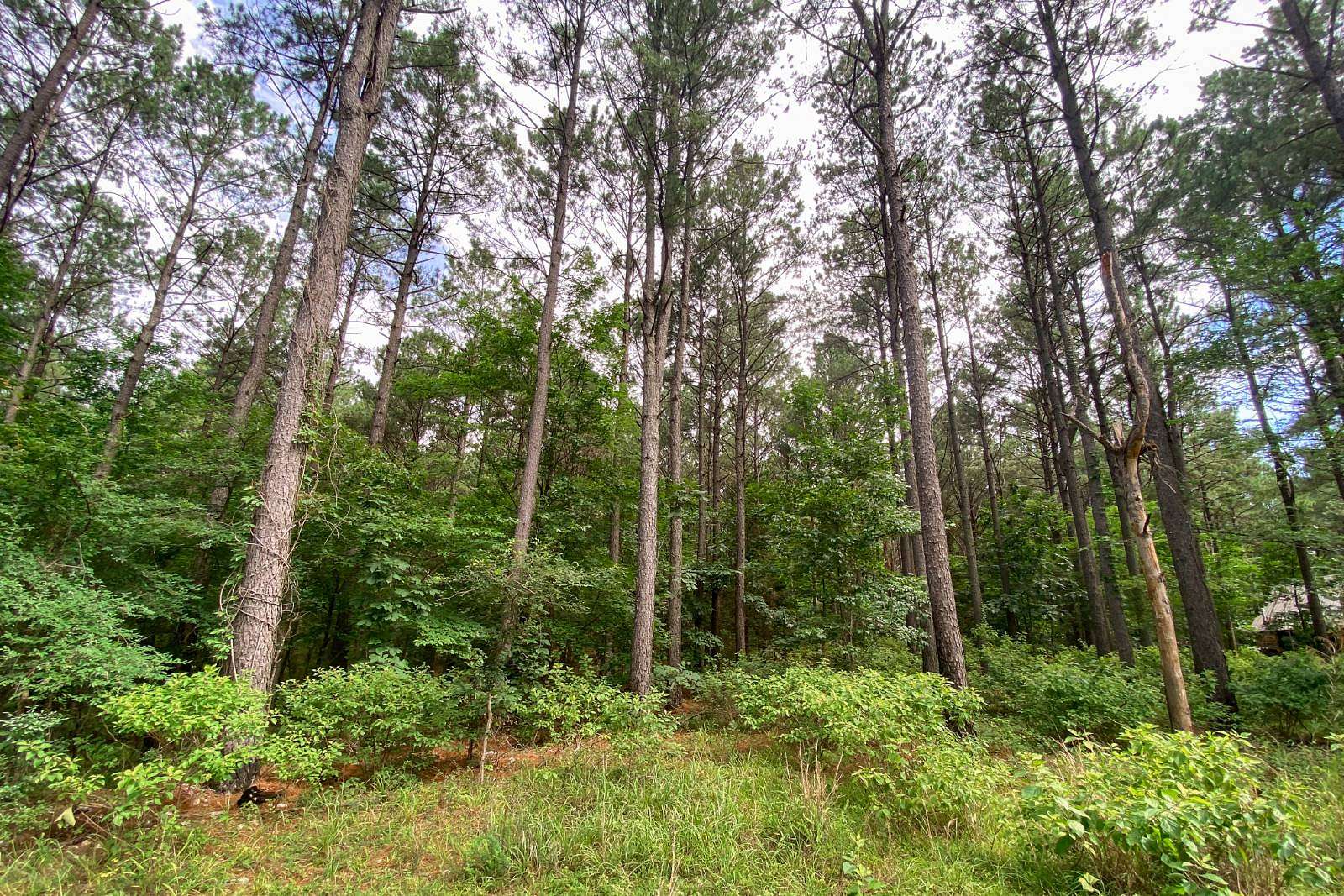 1.3 Acres of Residential Land for Sale in Broken Bow, Oklahoma