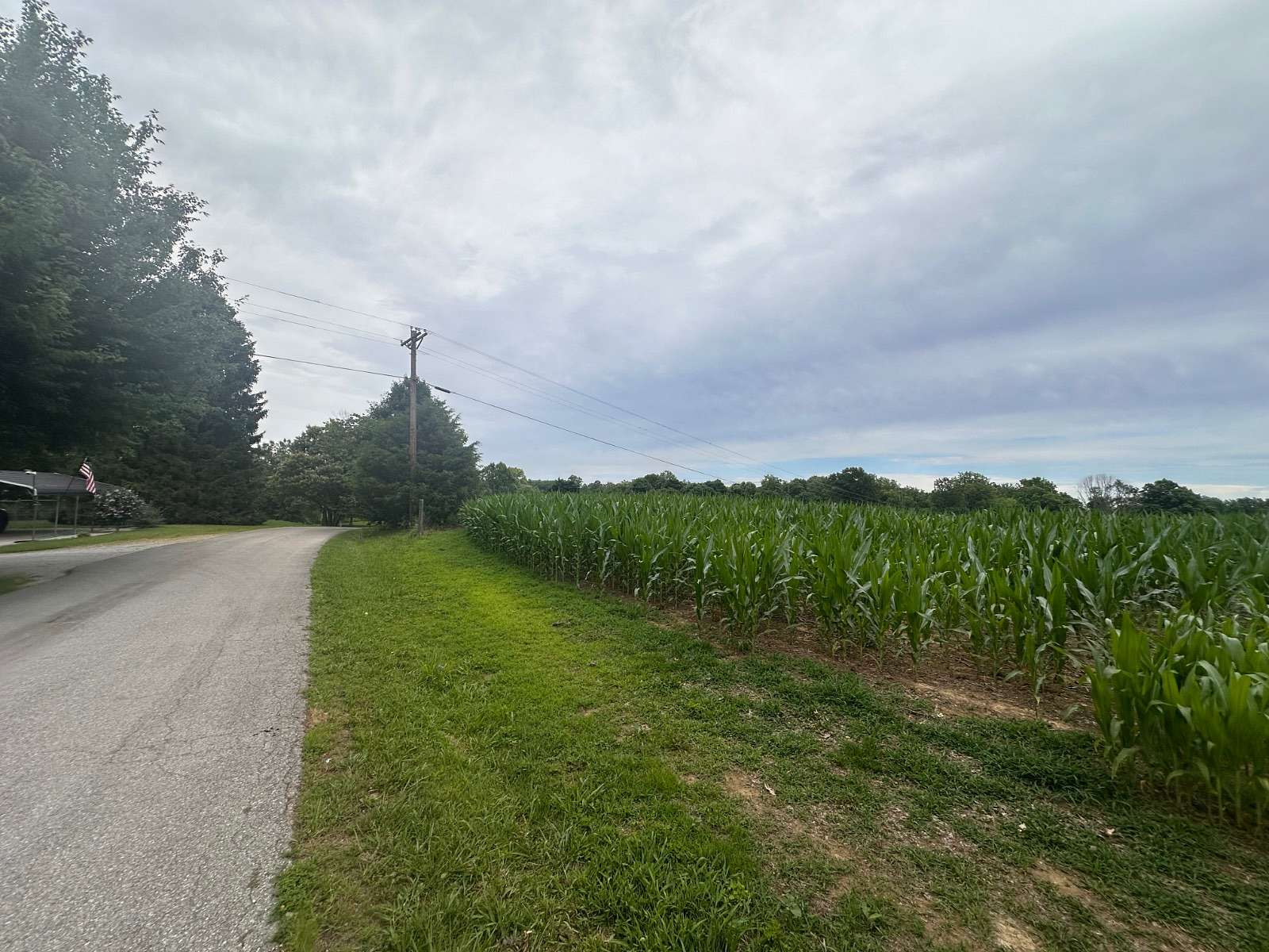 50 Acres of Land for Sale in Bethelridge, Kentucky