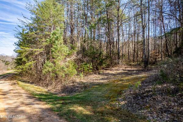 2.58 Acres of Residential Land for Sale in Tellico Plains, Tennessee