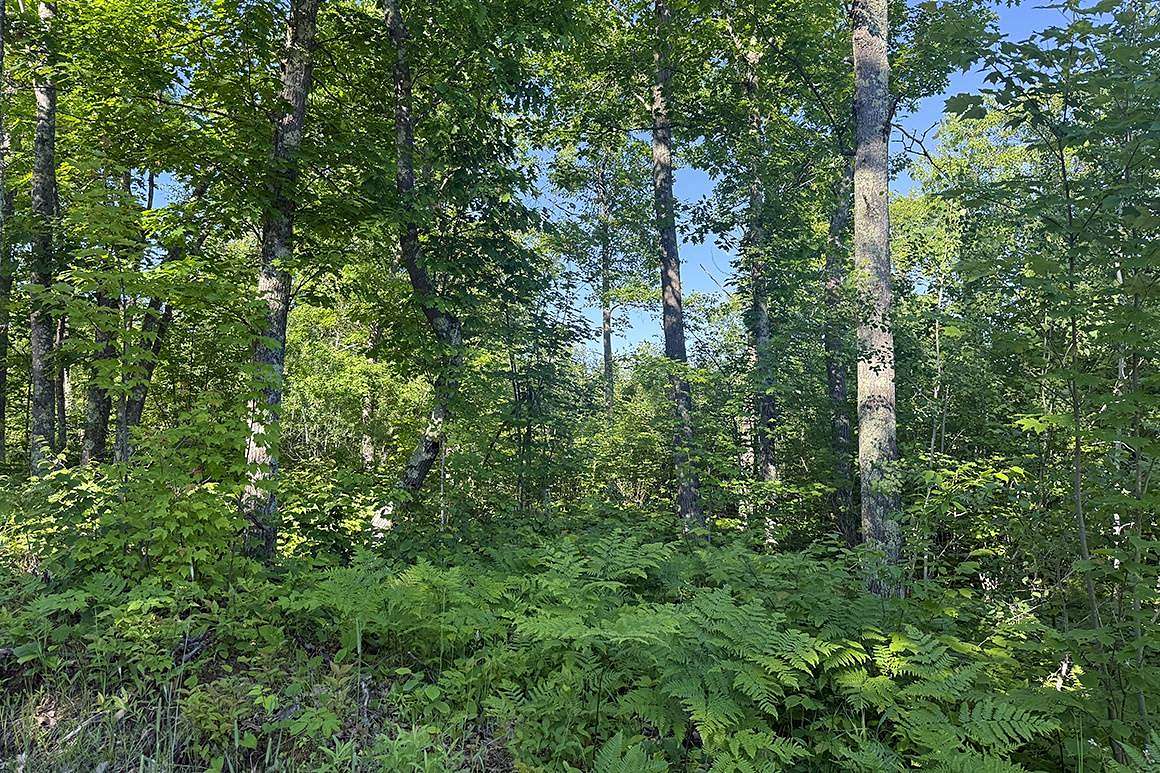 5.37 Acres of Recreational Land for Sale in Danbury, Wisconsin