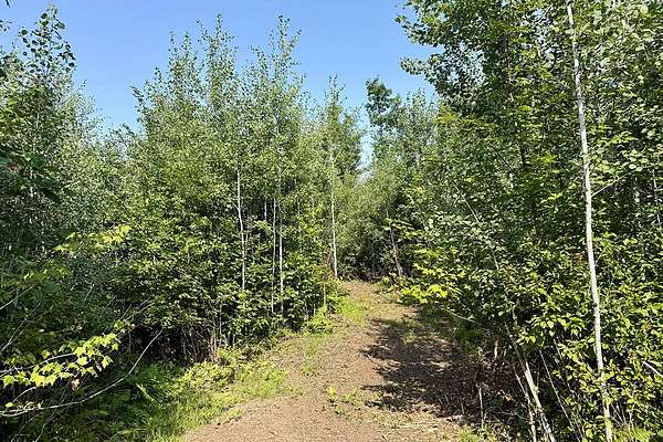 5.37 Acres of Recreational Land for Sale in Danbury, Wisconsin