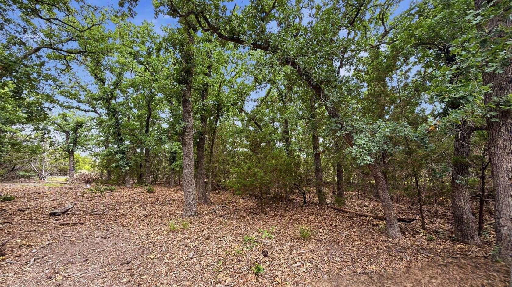 10 Acres of Recreational & Residential Land for Sale in Evant, Texas