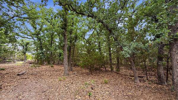 10 Acres of Recreational & Residential Land for Sale in Evant, Texas