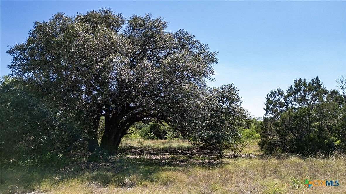 11 Acres of Recreational & Residential Land for Sale in Evant, Texas