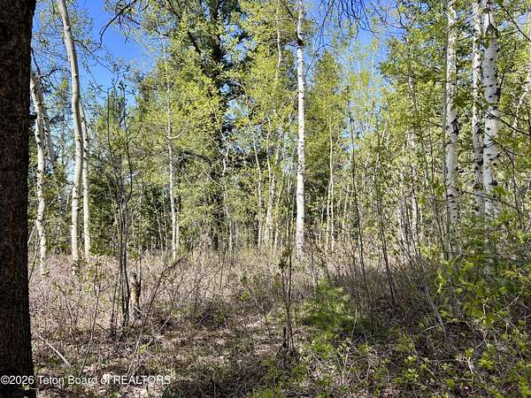 1 Acre of Residential Land for Sale in Tetonia, Idaho