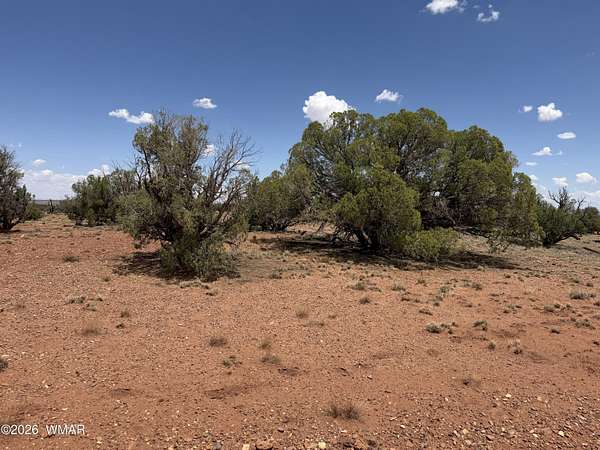 36.7 Acres of Land for Sale in Concho, Arizona