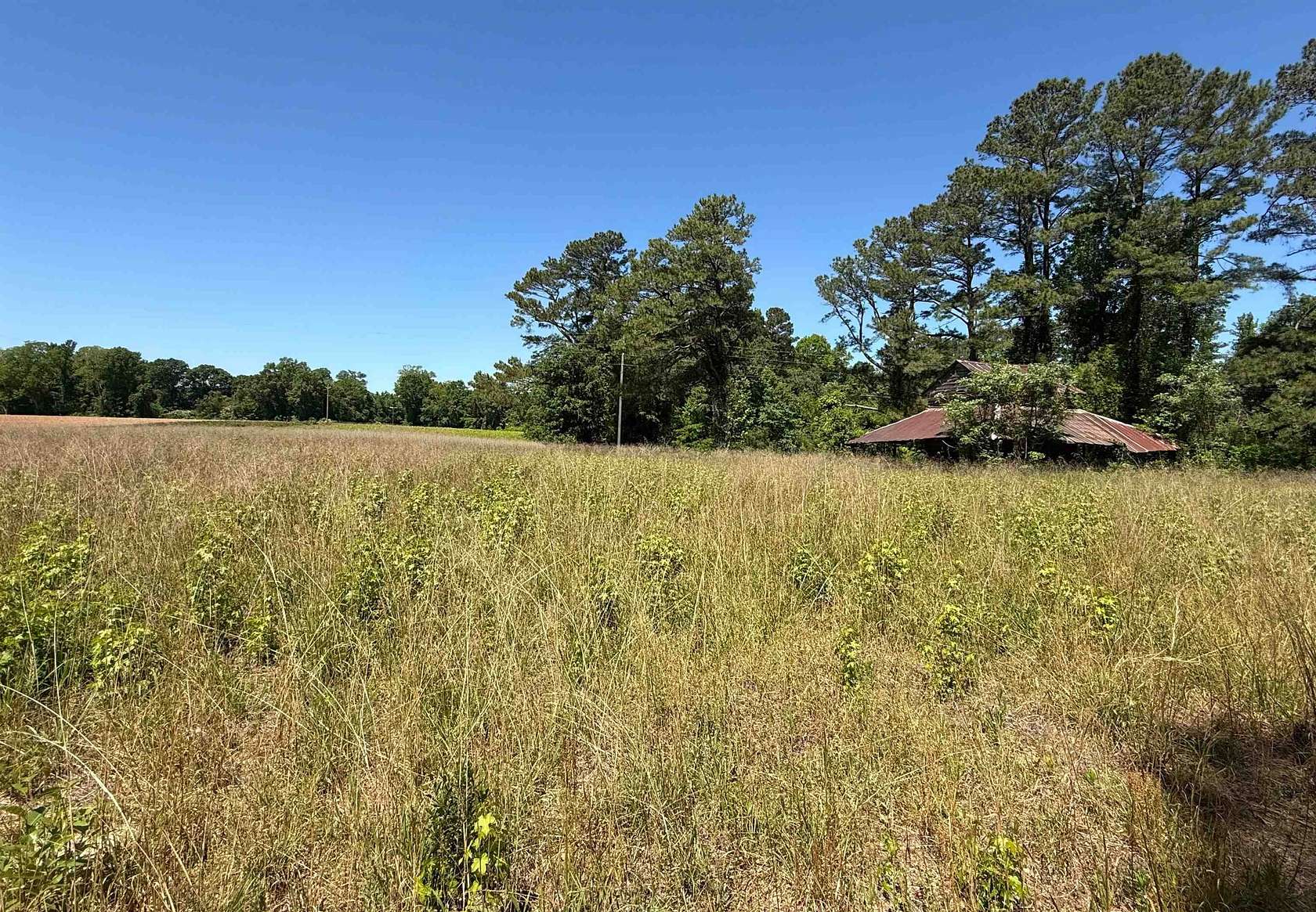 49 Acres of Recreational & Residential Land for Sale in Green Sea, South Carolina
