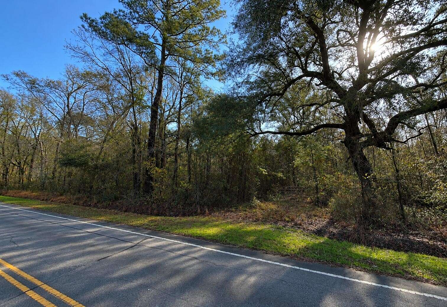 12.6 Acres of Land for Sale in Walterboro, South Carolina