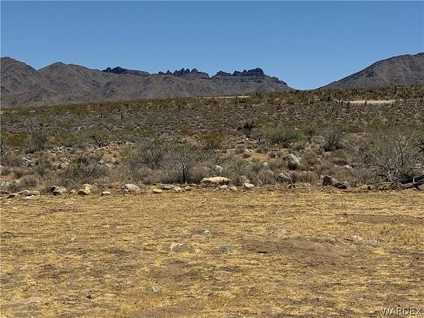 19 Acres of Land for Sale in Dolan Springs, Arizona
