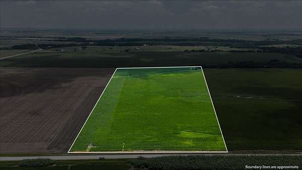 30 Acres of Land for Sale in Bynum, Texas
