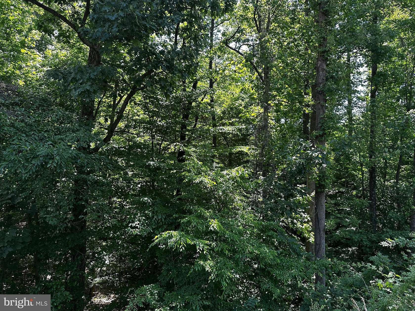 6.4 Acres of Land for Sale in Dumfries, Virginia